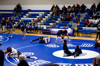 Wrestling