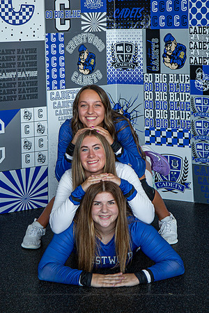 JV VB19