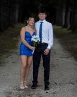 HOCO262
