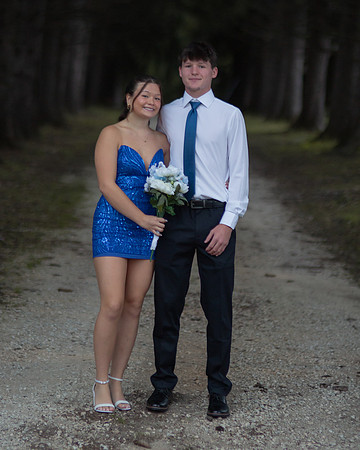 HOCO262