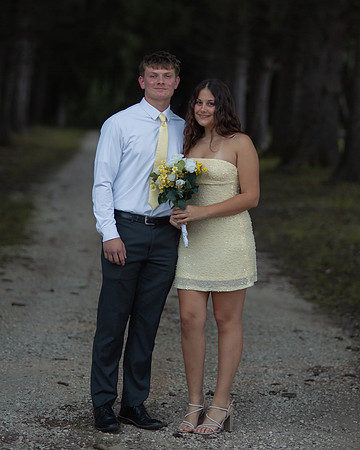HOCO266