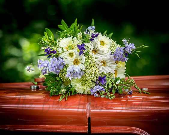 Snell-128edit