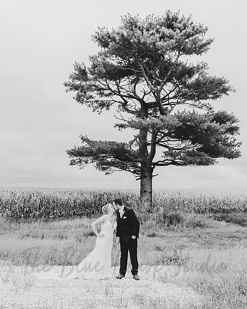 McAllisterWed243