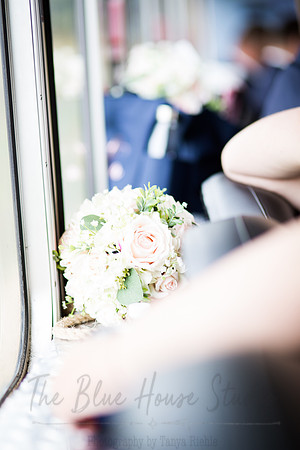 McAllisterWed141