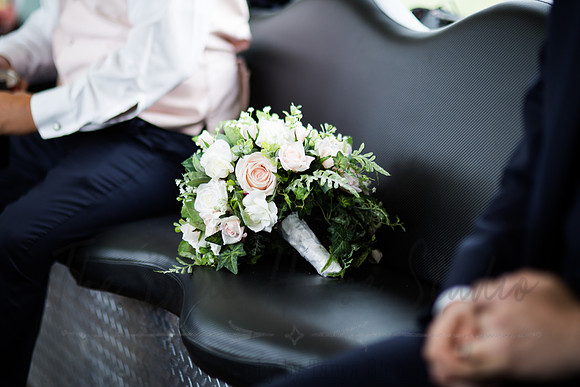McAllisterWed149