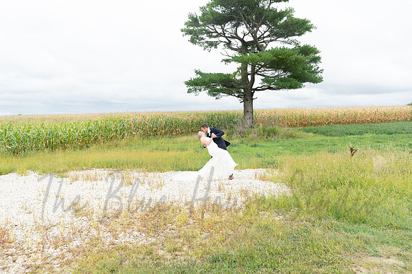 McAllisterWed245
