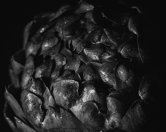 IMG_9735edit