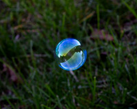 IMG_1268edit