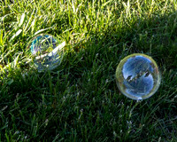 IMG_0019-Enhanced-NR