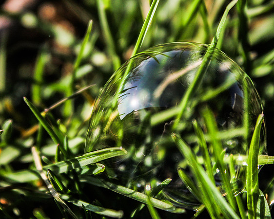 IMG_9937edit